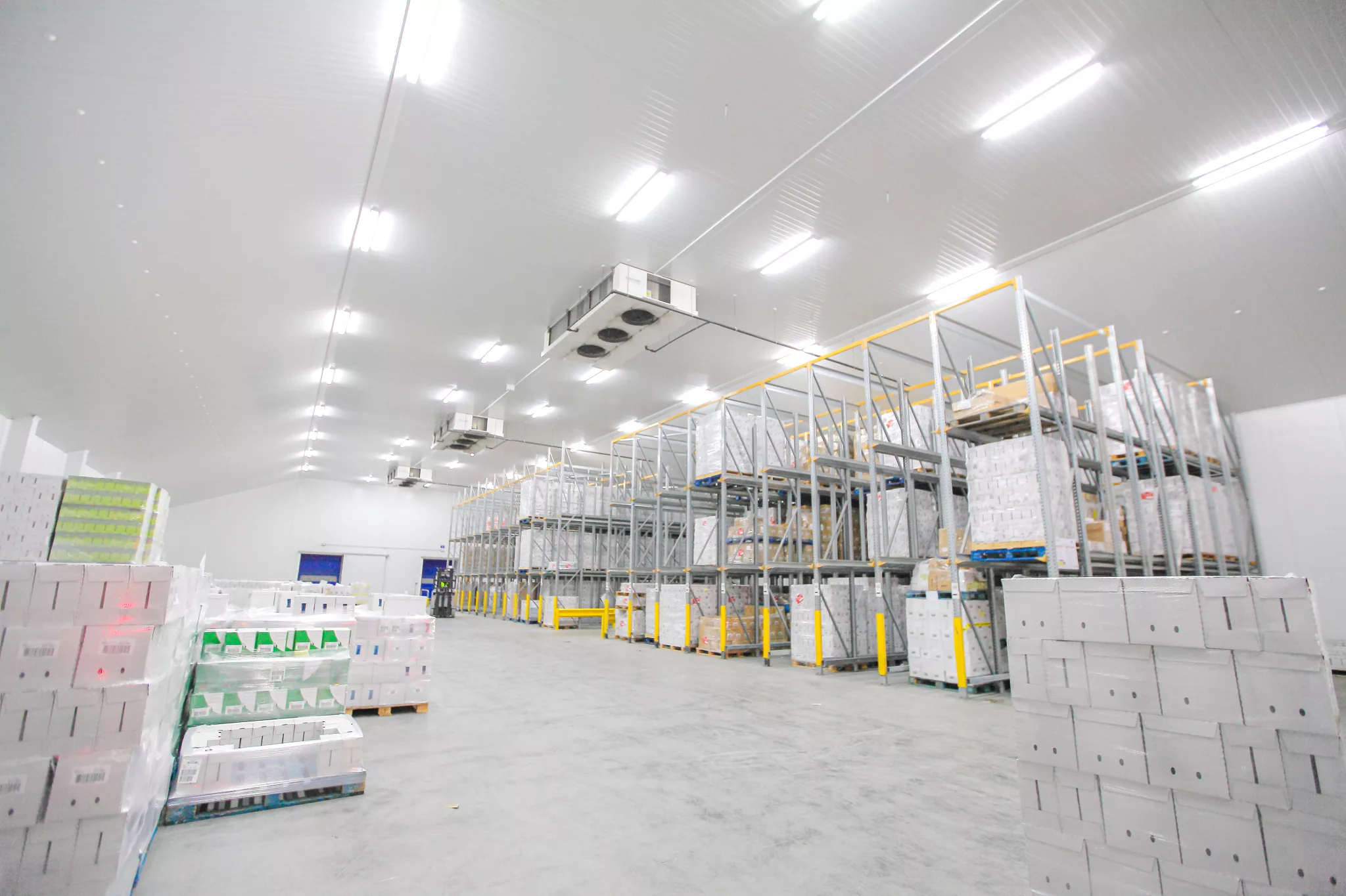 Refrigeration projects: Fulfillment Centers - Grocery Stores - Cold Storage Warehouses - Pharmaceutical Centers - Bio-pharma Cold Distribution center - Electrical design - Electrical Installation